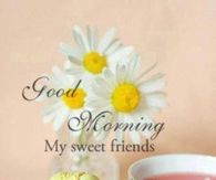 Good Morning Friends