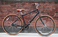 Maintenance free bicycles