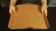 Use Pizza Box For Plates