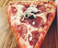 Pizza Cushion