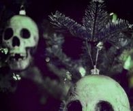 Skull ornaments