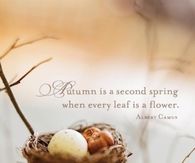 Autumn is a second spring when every leaf is a flower
