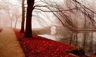 Foggy Fall Day