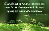 kindness