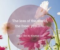 free life