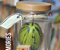 Bottle Of Memories