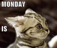 Monday is coming