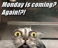 Monday is coming? Again!?!