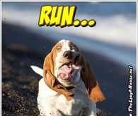 Run monday is coming