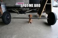 Spot me bro