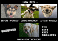 How I feel
