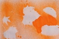 Negative Leaf Impressions