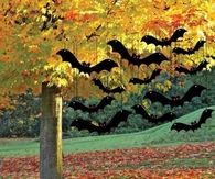 Hanging bats