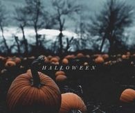 Halloween Pumpkin Patch