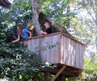 How to build a treehouse