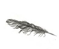 Feather