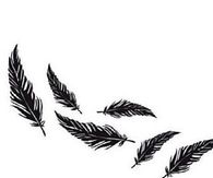 Feathers Flying