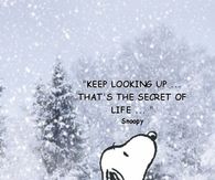 Keep looking up