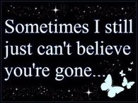 can't believe you're gone