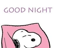 Good Night