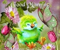 Good Morning Wednesday