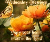 Wednesday Blessings