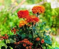 Fall Planter