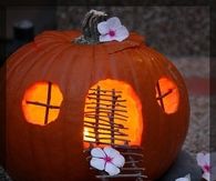 Fairy Pumpkin House