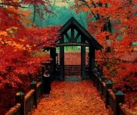 Autumn in Wisconsin Park