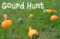 Gourd Hunt