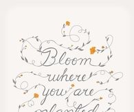Bloom where you are planted