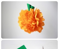 DIY Pumpkin PomPoms