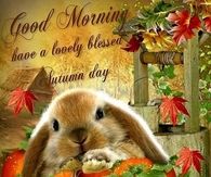 Good Morning Have A Lovely Autumn Day