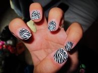 Zebra print nails