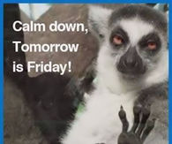 Tomorrow is Friday