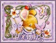 Morning