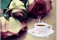 Coffee & Roses