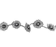 Daisy