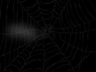 Spiderweb with Spooky Images