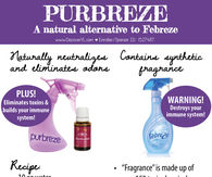 DIY All Natural Air Freshener