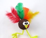 Turkey trot