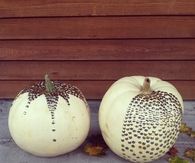 Thumbtack Pumpkin
