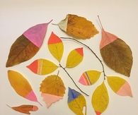 Paint dipped leaves