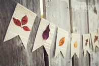 Leaf bunting