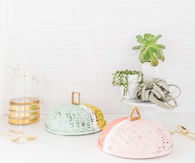 DIY Colorblock Food Domes
