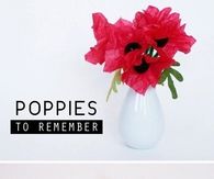 Diy Poppies