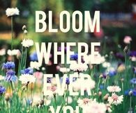 Bloom wherever you are planted