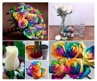 How To Make Rainbow Flowers