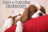 Have a relaxing Saturday