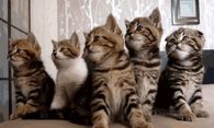 All together now..